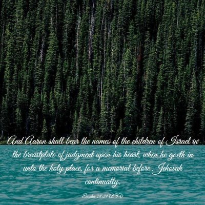 Picture 03 - Exodus 28:29 ASV - And Aaron shall bear the names of the children of - Bible Verse Picture