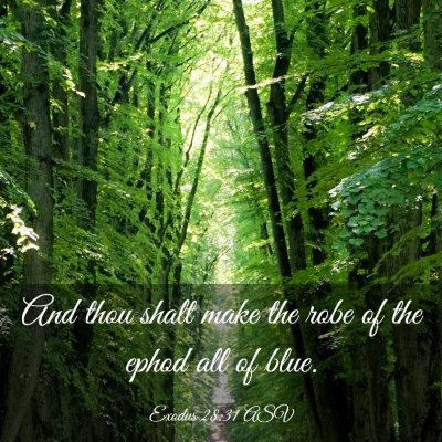 Picture 03 - Exodus 28:31 ASV - And thou shalt make the robe of the ephod all of - Bible Verse Picture