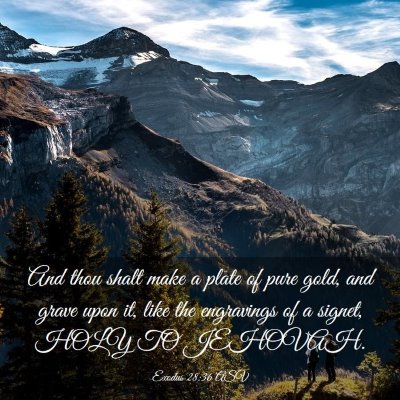 Picture 03 - Exodus 28:36 ASV - And thou shalt make a plate of pure gold, and - Bible Verse Picture