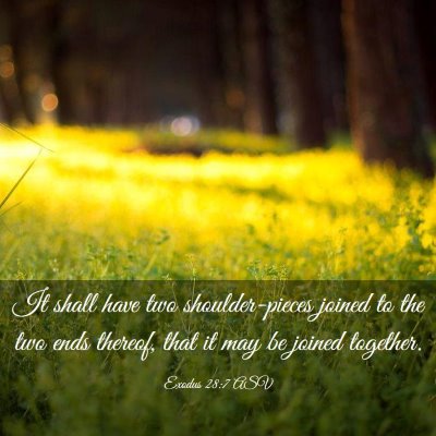 Picture 03 - Exodus 28:7 ASV - It shall have two shoulder-pieces joined to the - Bible Verse Picture