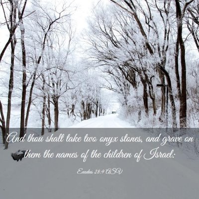 Picture 03 - Exodus 28:9 ASV - And thou shalt take two onyx stones, and grave on - Bible Verse Picture