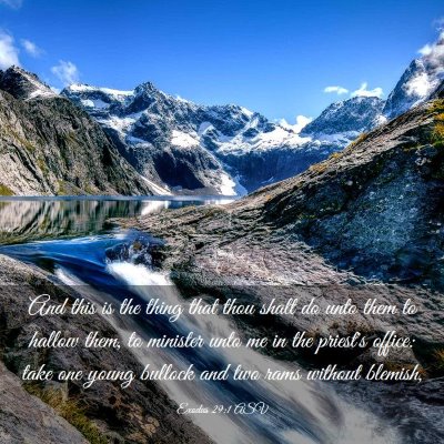 Picture 03 - Exodus 29:1 ASV - And this is the thing that thou shalt do unto - Bible Verse Picture