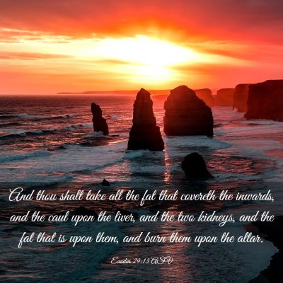 Picture 03 - Exodus 29:13 ASV - And thou shalt take all the fat that covereth the - Bible Verse Picture