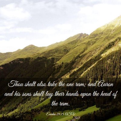 Picture 03 - Exodus 29:15 ASV - Thou shalt also take the one ram; and Aaron and - Bible Verse Picture