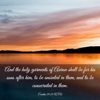 Picture 03 - Exodus 29:29 ASV - And the holy garments of Aaron shall be for his - Bible Verse Picture