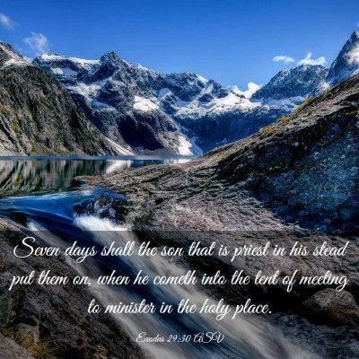 Picture 03 - Exodus 29:30 ASV - Seven days shall the son that is priest in his - Bible Verse Picture