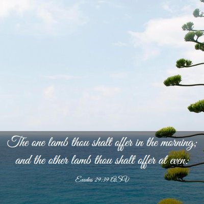 Picture 03 - Exodus 29:39 ASV - The one lamb thou shalt offer in the morning; and - Bible Verse Picture