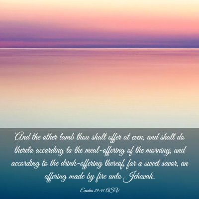 Picture 03 - Exodus 29:41 ASV - And the other lamb thou shalt offer at even, and - Bible Verse Picture