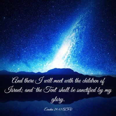 Picture 03 - Exodus 29:43 ASV - And there I will meet with the children of - Bible Verse Picture