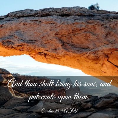Picture 03 - Exodus 29:8 ASV - And thou shalt bring his sons, and put coats upon - Bible Verse Picture