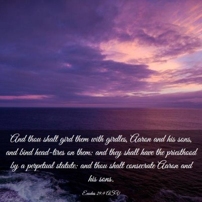 Picture 03 - Exodus 29:9 ASV - And thou shalt gird them with girdles, Aaron and - Bible Verse Picture