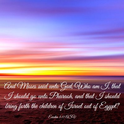 Picture 03 - Exodus 3:11 ASV - And Moses said unto God, Who am I, that I should - Bible Verse Picture