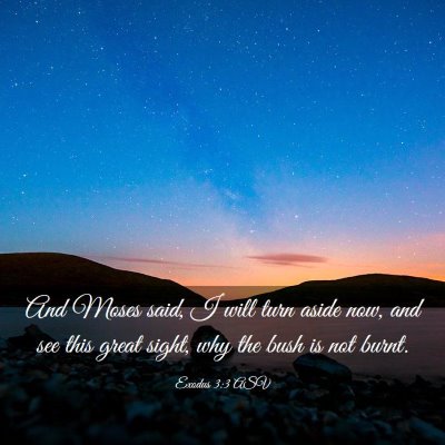 Picture 03 - Exodus 3:3 ASV - And Moses said, I will turn aside now, and see - Bible Verse Picture