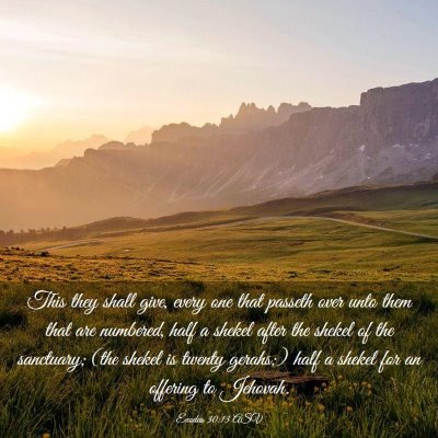Picture 03 - Exodus 30:13 ASV - This they shall give, every one that passeth over - Bible Verse Picture