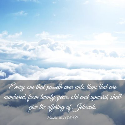 Picture 03 - Exodus 30:14 ASV - Every one that passeth over unto them that are - Bible Verse Picture