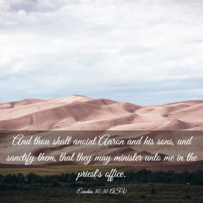 Picture 03 - Exodus 30:30 ASV - And thou shalt anoint Aaron and his sons, and - Bible Verse Picture