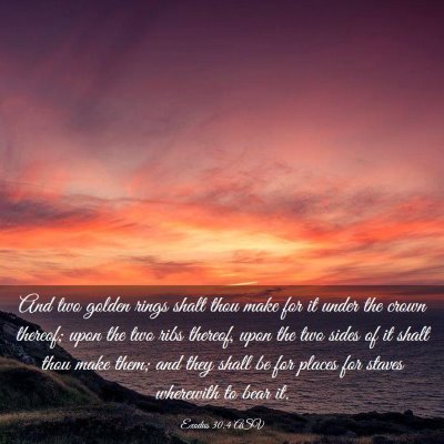 Picture 03 - Exodus 30:4 ASV - And two golden rings shalt thou make for it under - Bible Verse Picture