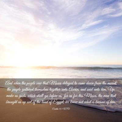 Picture 03 - Exodus 32:1 ASV - And when the people saw that Moses delayed to - Bible Verse Picture