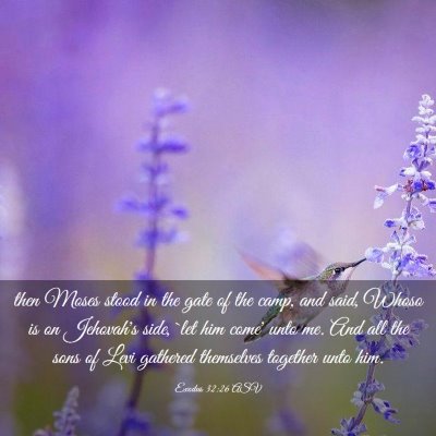 Picture 03 - Exodus 32:26 ASV - then Moses stood in the gate of the camp, and - Bible Verse Picture