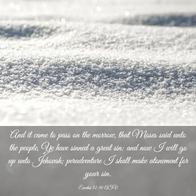 Picture 03 - Exodus 32:30 ASV - And it came to pass on the morrow, that Moses - Bible Verse Picture