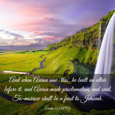 Picture 03 - Exodus 32:5 ASV - And when Aaron saw `this', he built an altar - Bible Verse Picture