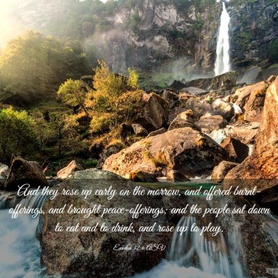 Picture 03 - Exodus 32:6 ASV - And they rose up early on the morrow, and offered - Bible Verse Picture