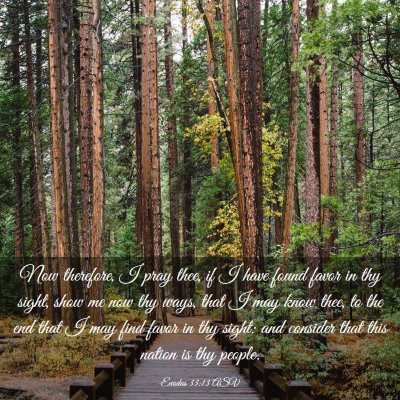 Picture 03 - Exodus 33:13 ASV - Now therefore, I pray thee, if I have found favor - Bible Verse Picture