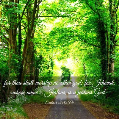 Picture 03 - Exodus 34:14 ASV - for thou shalt worship no other god: for Jehovah, - Bible Verse Picture