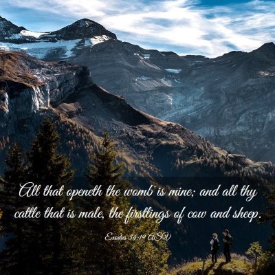 Picture 03 - Exodus 34:19 ASV - All that openeth the womb is mine; and all thy - Bible Verse Picture