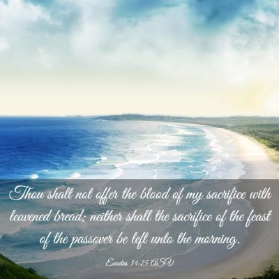 Picture 03 - Exodus 34:25 ASV - Thou shalt not offer the blood of my sacrifice - Bible Verse Picture