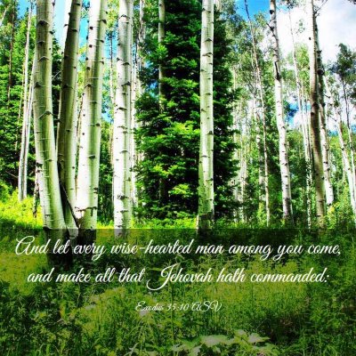 Picture 03 - Exodus 35:10 ASV - And let every wise-hearted man among you come, - Bible Verse Picture