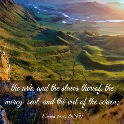 Picture 03 - Exodus 35:12 ASV - the ark, and the staves thereof, the mercy-seat, - Bible Verse Picture