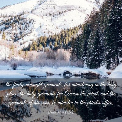 Picture 03 - Exodus 35:19 ASV - the finely wrought garments, for ministering in - Bible Verse Picture
