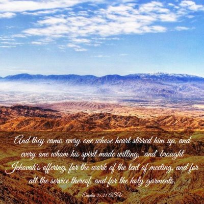 Picture 03 - Exodus 35:21 ASV - And they came, every one whose heart stirred him - Bible Verse Picture
