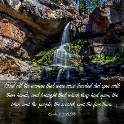 Picture 03 - Exodus 35:25 ASV - And all the women that were wise-hearted did spin - Bible Verse Picture