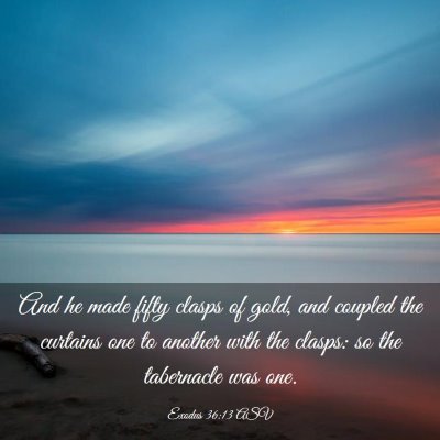 Picture 03 - Exodus 36:13 ASV - And he made fifty clasps of gold, and coupled the - Bible Verse Picture