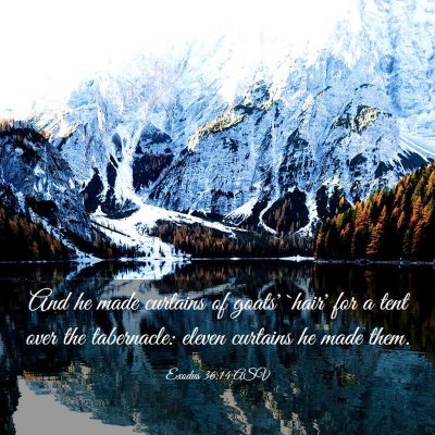 Picture 03 - Exodus 36:14 ASV - And he made curtains of goats' `hair' for a tent - Bible Verse Picture