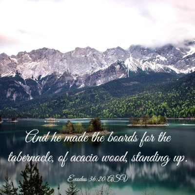 Picture 03 - Exodus 36:20 ASV - And he made the boards for the tabernacle, of - Bible Verse Picture