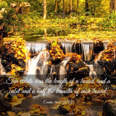 Picture 03 - Exodus 36:21 ASV - Ten cubits was the length of a board, and a cubit - Bible Verse Picture