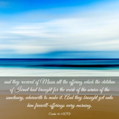 Picture 03 - Exodus 36:3 ASV - and they received of Moses all the offering which - Bible Verse Picture