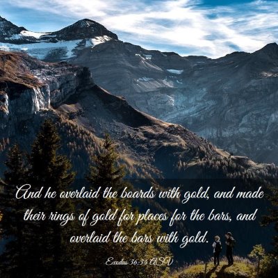 Picture 03 - Exodus 36:34 ASV - And he overlaid the boards with gold, and made - Bible Verse Picture