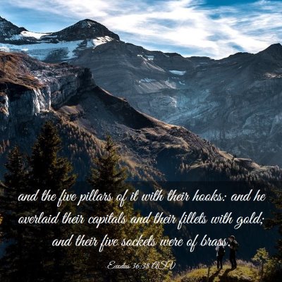 Picture 03 - Exodus 36:38 ASV - and the five pillars of it with their hooks: and - Bible Verse Picture