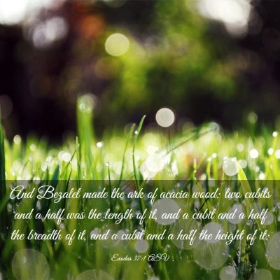 Picture 03 - Exodus 37:1 ASV - And Bezalel made the ark of acacia wood: two - Bible Verse Picture