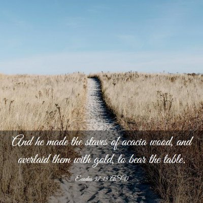 Picture 03 - Exodus 37:15 ASV - And he made the staves of acacia wood, and - Bible Verse Picture