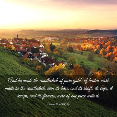 Picture 03 - Exodus 37:17 ASV - And he made the candlestick of pure gold: of - Bible Verse Picture