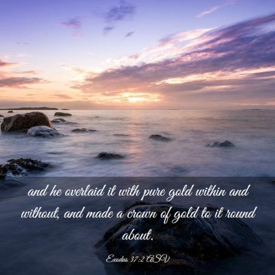 Picture 03 - Exodus 37:2 ASV - and he overlaid it with pure gold within and - Bible Verse Picture