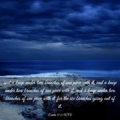 Picture 03 - Exodus 37:21 ASV - and a knop under two branches of one piece with - Bible Verse Picture