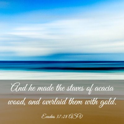 Picture 03 - Exodus 37:28 ASV - And he made the staves of acacia wood, and - Bible Verse Picture