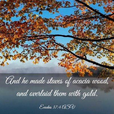 Picture 03 - Exodus 37:4 ASV - And he made staves of acacia wood, and overlaid - Bible Verse Picture