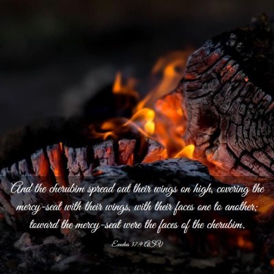 Picture 03 - Exodus 37:9 ASV - And the cherubim spread out their wings on high, - Bible Verse Picture
